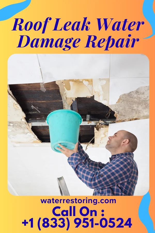 Roof Leak Water Damage Repair in Lake St. Louis, MO
